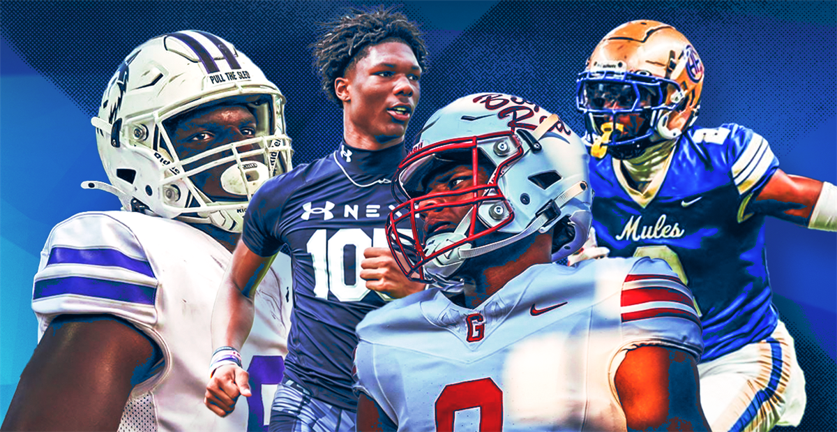 他们不仅关 他们不仅关