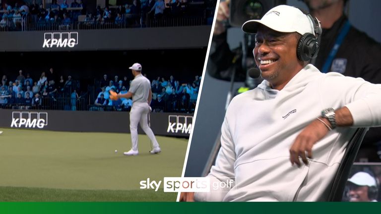 他的到访也 他的到访也