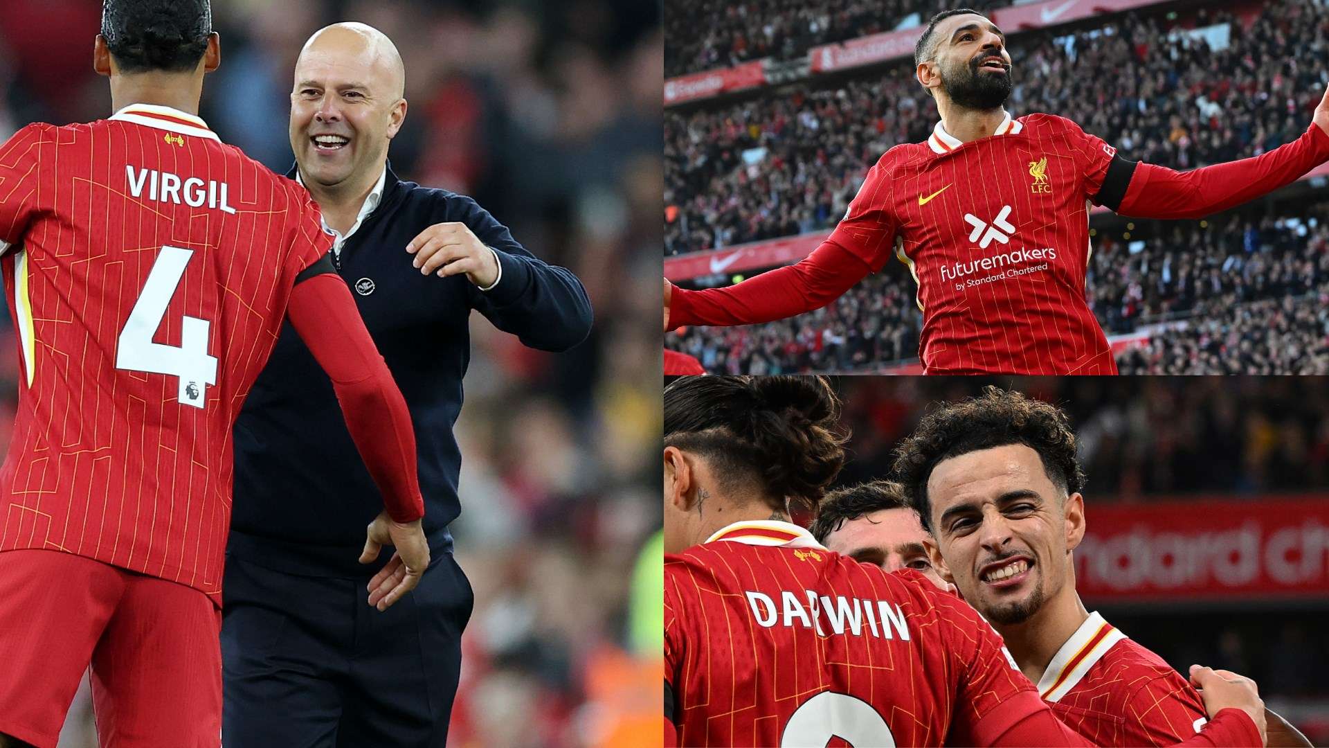 领域比年轻 领域比年轻